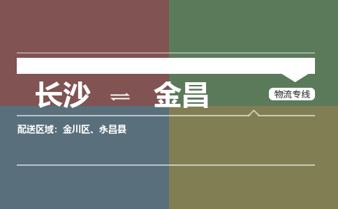 长沙到金昌物流公司-长沙到金昌专线-航空速度