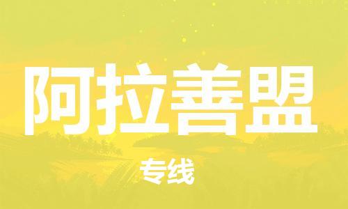 南通到阿拉善盟行李托运|南通物流到阿拉善盟包括搬家行李运输专线很方便