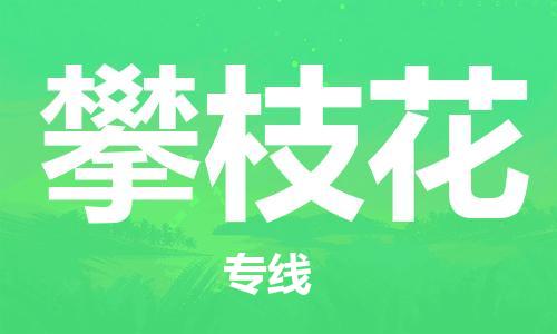 南通到攀枝花行李托运|南通物流到攀枝花包括搬家行李运输专线很方便