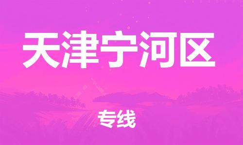 泉州到天津宁河区危险品物流公司-泉州到天津宁河区化工涂料树脂货运专线-品牌专线