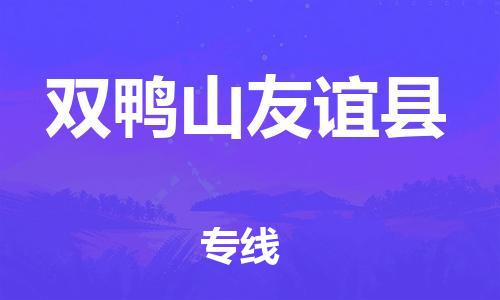泉州到双鸭山友谊县危险品物流公司-泉州到双鸭山友谊县化工涂料树脂货运专线-品牌专线