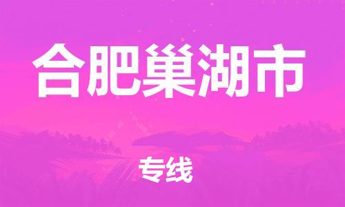 泉州到合肥巢湖市危险品物流公司-泉州到合肥巢湖市化工涂料树脂货运专线-品牌专线