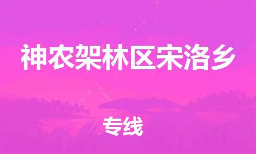 泉州到神农架林区宋洛乡危险品物流公司-泉州到神农架林区宋洛乡化工涂料树脂货运专线-品牌专线