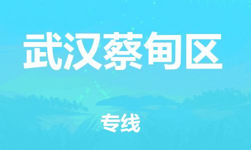 泉州到武汉蔡甸区危险品物流公司-泉州到武汉蔡甸区化工涂料树脂货运专线-品牌专线