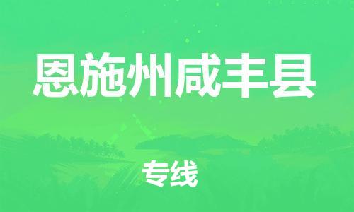 泉州到恩施州咸丰县危险品物流公司-泉州到恩施州咸丰县化工涂料树脂货运专线-品牌专线