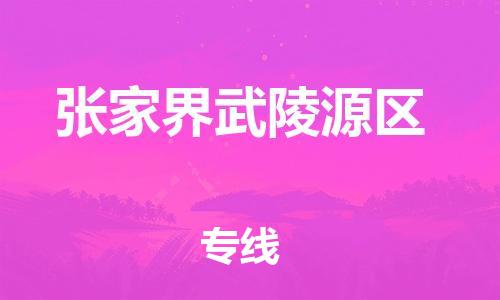 泉州到张家界武陵源区危险品物流公司-泉州到张家界武陵源区化工涂料树脂货运专线-品牌专线