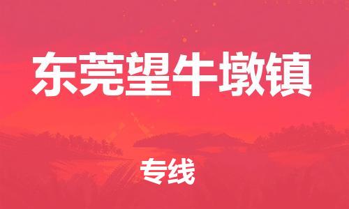 泉州到东莞望牛墩镇危险品物流公司-泉州到东莞望牛墩镇化工涂料树脂货运专线-品牌专线