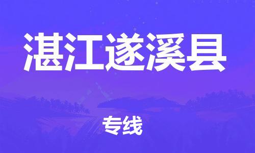 泉州到湛江遂溪县危险品物流公司-泉州到湛江遂溪县化工涂料树脂货运专线-品牌专线