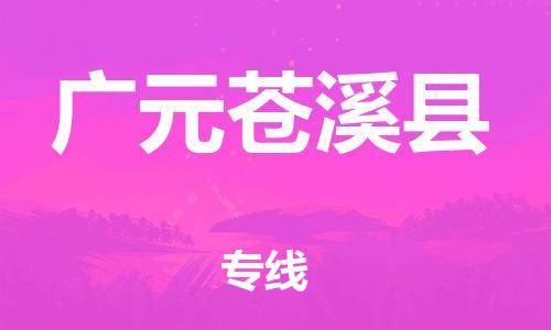 泉州到广元苍溪县危险品物流公司-泉州到广元苍溪县化工涂料树脂货运专线-品牌专线