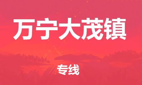 泉州到万宁大茂镇危险品物流公司-泉州到万宁大茂镇化工涂料树脂货运专线-品牌专线