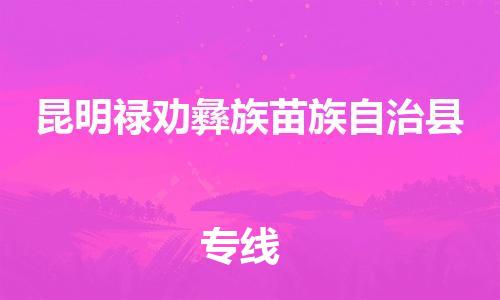 泉州到昆明禄劝彝族苗族自治县危险品物流公司-泉州到昆明禄劝彝族苗族自治县化工涂料树脂货运专线-品牌专线