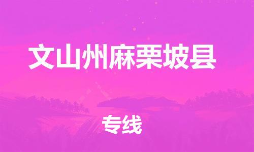 泉州到文山州麻栗坡县危险品物流公司-泉州到文山州麻栗坡县化工涂料树脂货运专线-品牌专线