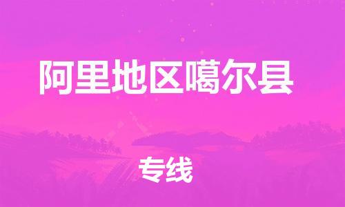 泉州到阿里地区噶尔县危险品物流公司-泉州到阿里地区噶尔县化工涂料树脂货运专线-品牌专线