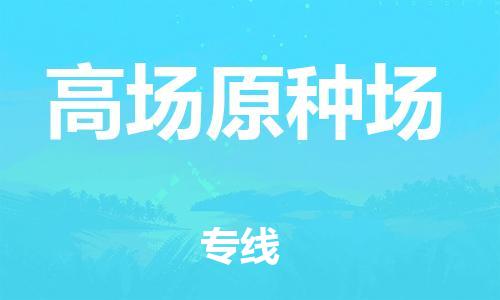 中山到高场原种场物流专线公司,中山到高场原种场危险品承运危险品车源充足