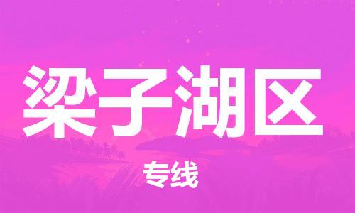 中山到梁子湖区物流专线公司,中山到梁子湖区危险品承运危险品车源充足